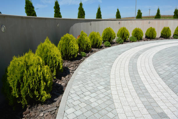 Best Concrete Paver Driveway  in Rolesville, NC