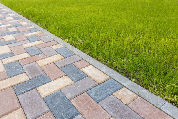 Best Professional Driveway Pavers  in Rolesville, NC
